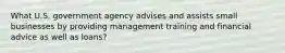 What U.S. government agency advises and assists small businesses by providing management training and financial advice as well as loans?