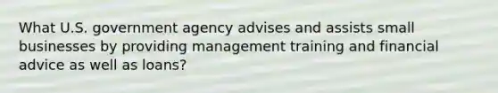 What U.S. government agency advises and assists small businesses by providing management training and financial advice as well as loans?