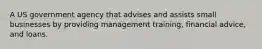 A US government agency that advises and assists small businesses by providing management training, financial advice, and loans.