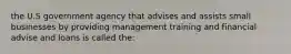 the U.S government agency that advises and assists small businesses by providing management training and financial advise and loans is called the:
