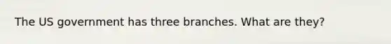 The US government has three branches. What are they?