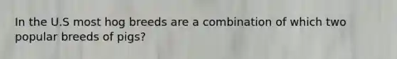 In the U.S most hog breeds are a combination of which two popular breeds of pigs?