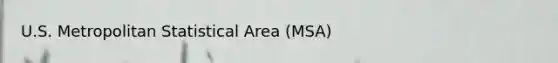 U.S. Metropolitan Statistical Area (MSA)