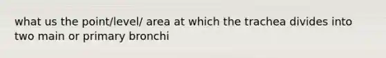 what us the point/level/ area at which the trachea divides into two main or primary bronchi