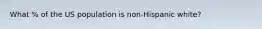 What % of the US population is non-Hispanic white?