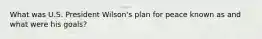 What was U.S. President Wilson's plan for peace known as and what were his goals?