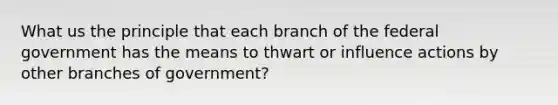 What us the principle that each branch of the federal government has the means to thwart or influence actions by other branches of government?