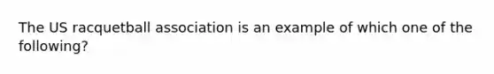 The US racquetball association is an example of which one of the following?