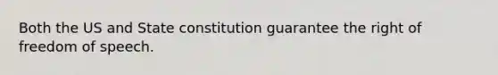 Both the US and State constitution guarantee the right of freedom of speech.