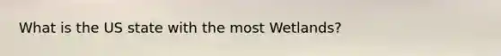 What is the US state with the most Wetlands?