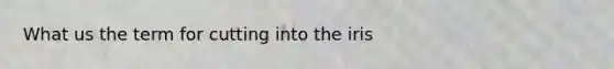 What us the term for cutting into the iris