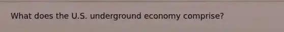 What does the U.S. underground economy comprise?