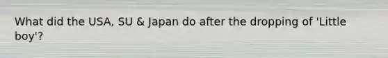 What did the USA, SU & Japan do after the dropping of 'Little boy'?