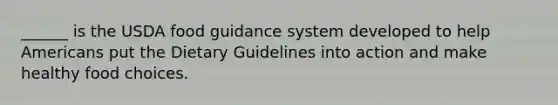 ______ is the USDA food guidance system developed to help Americans put the Dietary Guidelines into action and make healthy food choices.