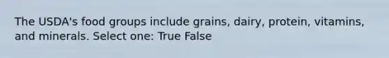 The USDA's food groups include grains, dairy, protein, vitamins, and minerals. Select one: True False