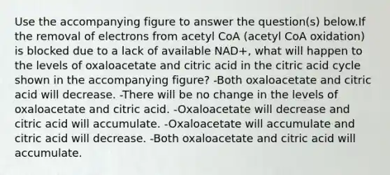 Use the accompanying figure to answer the question(s) below.If the removal of electrons from acetyl CoA (acetyl CoA oxidation) is blocked due to a lack of available NAD+, what will happen to the levels of oxaloacetate and citric acid in the citric acid cycle shown in the accompanying figure? -Both oxaloacetate and citric acid will decrease. -There will be no change in the levels of oxaloacetate and citric acid. -Oxaloacetate will decrease and citric acid will accumulate. -Oxaloacetate will accumulate and citric acid will decrease. -Both oxaloacetate and citric acid will accumulate.