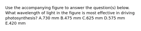 Use the accompanying figure to answer the question(s) below. What wavelength of light in the figure is most effective in driving photosynthesis? A.730 mm B.475 mm C.625 mm D.575 mm E.420 mm