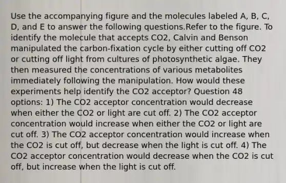 Use the accompanying figure and the molecules labeled A, B, C, D, and E to answer the following questions.Refer to the figure. To identify the molecule that accepts CO2, Calvin and Benson manipulated the carbon-fixation cycle by either cutting off CO2 or cutting off light from cultures of photosynthetic algae. They then measured the concentrations of various metabolites immediately following the manipulation. How would these experiments help identify the CO2 acceptor? Question 48 options: 1) The CO2 acceptor concentration would decrease when either the CO2 or light are cut off. 2) The CO2 acceptor concentration would increase when either the CO2 or light are cut off. 3) The CO2 acceptor concentration would increase when the CO2 is cut off, but decrease when the light is cut off. 4) The CO2 acceptor concentration would decrease when the CO2 is cut off, but increase when the light is cut off.