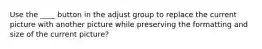 Use the ____ button in the adjust group to replace the current picture with another picture while preserving the formatting and size of the current picture?