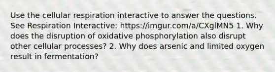 Use the cellular respiration interactive to answer the questions. See Respiration Interactive: https://imgur.com/a/CXglMN5 1. Why does the disruption of oxidative phosphorylation also disrupt other cellular processes? 2. Why does arsenic and limited oxygen result in fermentation?