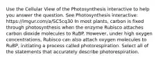 Use the Cellular View of the Photosynthesis interactive to help you answer the question. See Photosynthesis interactive: https://imgur.com/a/SC5cq30 In most plants, carbon is fixed through photosynthesis when the enzyme Rubisco attaches carbon dioxide molecules to RuBP. However, under high oxygen concentrations, Rubisco can also attach oxygen molecules to RuBP, initiating a process called photorespiration. Select all of the statements that accurately describe photorespiration.