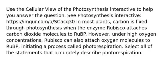 Use the Cellular View of the Photosynthesis interactive to help you answer the question. See Photosynthesis interactive: https://imgur.com/a/SC5cq30 In most plants, carbon is fixed through photosynthesis when the enzyme Rubisco attaches carbon dioxide molecules to RuBP. However, under high oxygen concentrations, Rubisco can also attach oxygen molecules to RuBP, initiating a process called photorespiration. Select all of the statements that accurately describe photorespiration.