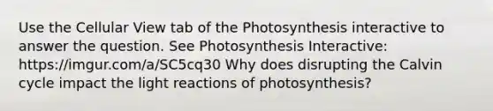 Use the Cellular View tab of the Photosynthesis interactive to answer the question. See Photosynthesis Interactive: https://imgur.com/a/SC5cq30 Why does disrupting the Calvin cycle impact the light reactions of photosynthesis?