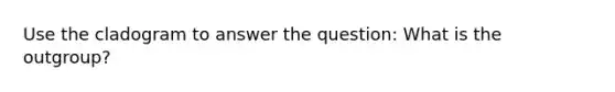 Use the cladogram to answer the question: What is the outgroup?