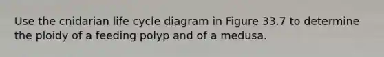 Use the cnidarian life cycle diagram in Figure 33.7 to determine the ploidy of a feeding polyp and of a medusa.