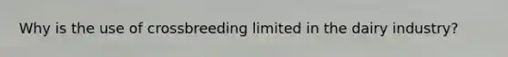 Why is the use of crossbreeding limited in the dairy industry?