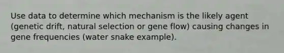 Use data to determine which mechanism is the likely agent (genetic drift, natural selection or gene flow) causing changes in gene frequencies (water snake example).