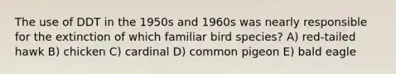 The use of DDT in the 1950s and 1960s was nearly responsible for the extinction of which familiar bird species? A) red-tailed hawk B) chicken C) cardinal D) common pigeon E) bald eagle