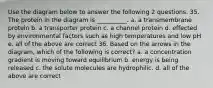 Use the diagram below to answer the following 2 questions. 35. The protein in the diagram is __________. a. a transmembrane protein b. a transporter protein c. a channel protein d. effected by environmental factors such as high temperatures and low pH e. all of the above are correct 36. Based on the arrows in the diagram, which of the following is correct? a. a concentration gradient is moving toward equilibrium b. energy is being released c. the solute molecules are hydrophilic. d. all of the above are correct