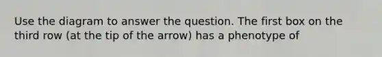 Use the diagram to answer the question. The first box on the third row (at the tip of the arrow) has a phenotype of
