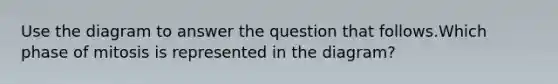 Use the diagram to answer the question that follows.Which phase of mitosis is represented in the diagram?