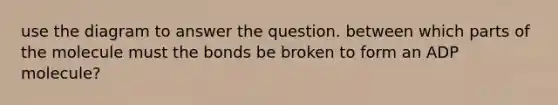 use the diagram to answer the question. between which parts of the molecule must the bonds be broken to form an ADP molecule?