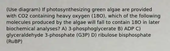 (Use diagram) If photosynthesizing green algae are provided with CO2 containing heavy oxygen (18O), which of the following molecules produced by the algae will fall to contain 18O in later biochemical analyses? A) 3-phosphoglycerate B) ADP C) glyceraldehyde 3-phosphate (G3P) D) ribulose bisphosphate (RuBP)