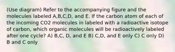 (Use diagram) Refer to the accompanying figure and the molecules labeled A,B,C,D, and E. If the carbon atom of each of the incoming CO2 molecules in labeled with a radioactive isotope of carbon, which organic molecules will be radioactively labeled after one cycle? A) B,C, D, and E B) C,D, and E only C) C only D) B and C only