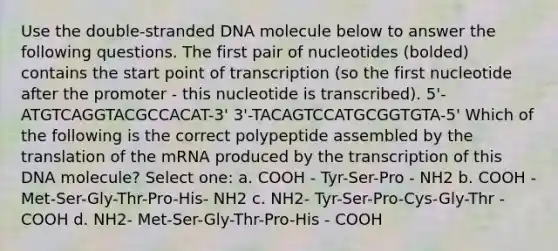 Use the double-stranded DNA molecule below to answer the following questions. The first pair of nucleotides (bolded) contains the start point of transcription (so the first nucleotide after the promoter - this nucleotide is transcribed). 5'-ATGTCAGGTACGCCACAT-3' 3'-TACAGTCCATGCGGTGTA-5' Which of the following is the correct polypeptide assembled by the translation of the mRNA produced by the transcription of this DNA molecule? Select one: a. COOH - Tyr-Ser-Pro - NH2 b. COOH - Met-Ser-Gly-Thr-Pro-His- NH2 c. NH2- Tyr-Ser-Pro-Cys-Gly-Thr - COOH d. NH2- Met-Ser-Gly-Thr-Pro-His - COOH