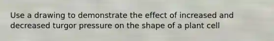 Use a drawing to demonstrate the effect of increased and decreased turgor pressure on the shape of a plant cell
