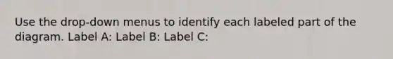 Use the drop-down menus to identify each labeled part of the diagram. Label A: Label B: Label C: