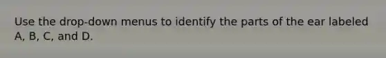 Use the drop-down menus to identify the parts of the ear labeled A, B, C, and D.