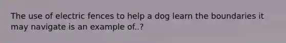 The use of electric fences to help a dog learn the boundaries it may navigate is an example of..?