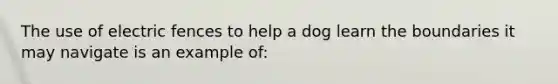 The use of electric fences to help a dog learn the boundaries it may navigate is an example of: