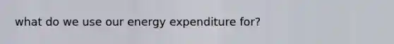 what do we use our energy expenditure for?