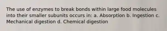 The use of enzymes to break bonds within large food molecules into their smaller subunits occurs in: a. Absorption b. Ingestion c. Mechanical digestion d. Chemical digestion