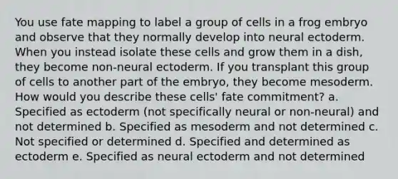 You use fate mapping to label a group of cells in a frog embryo and observe that they normally develop into neural ectoderm. When you instead isolate these cells and grow them in a dish, they become non-neural ectoderm. If you transplant this group of cells to another part of the embryo, they become mesoderm. How would you describe these cells' fate commitment? a. Specified as ectoderm (not specifically neural or non-neural) and not determined b. Specified as mesoderm and not determined c. Not specified or determined d. Specified and determined as ectoderm e. Specified as neural ectoderm and not determined