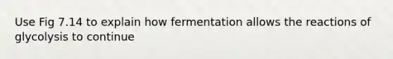 Use Fig 7.14 to explain how fermentation allows the reactions of glycolysis to continue