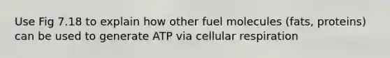 Use Fig 7.18 to explain how other fuel molecules (fats, proteins) can be used to generate ATP via cellular respiration