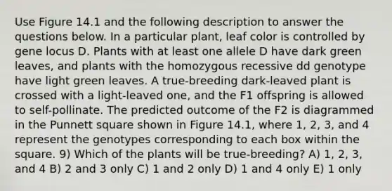 Use Figure 14.1 and the following description to answer the questions below. In a particular plant, leaf color is controlled by gene locus D. Plants with at least one allele D have dark green leaves, and plants with the homozygous recessive dd genotype have light green leaves. A true-breeding dark-leaved plant is crossed with a light-leaved one, and the F1 offspring is allowed to self-pollinate. The predicted outcome of the F2 is diagrammed in the Punnett square shown in Figure 14.1, where 1, 2, 3, and 4 represent the genotypes corresponding to each box within the square. 9) Which of the plants will be true-breeding? A) 1, 2, 3, and 4 B) 2 and 3 only C) 1 and 2 only D) 1 and 4 only E) 1 only